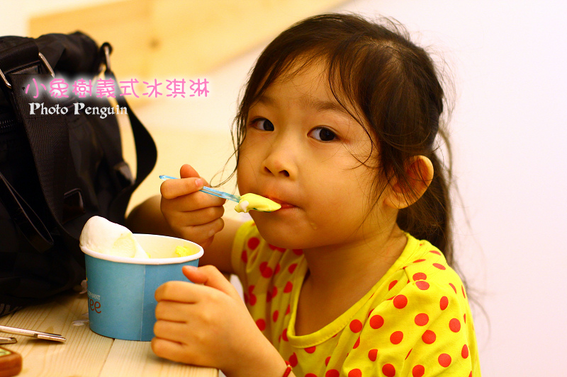 【食在Tainan】夏日消暑大作戰。每日不同口味冰品提供選擇的小象樹義式冰淇淋